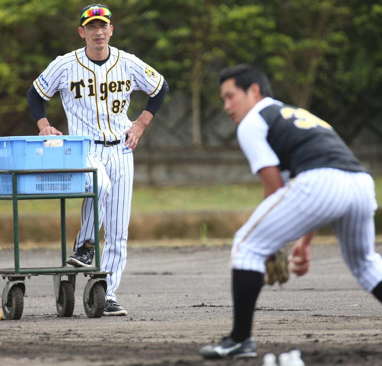 佐藤蓮（手前）のノックを見守る矢野燿大監督（撮影・上山淳一）