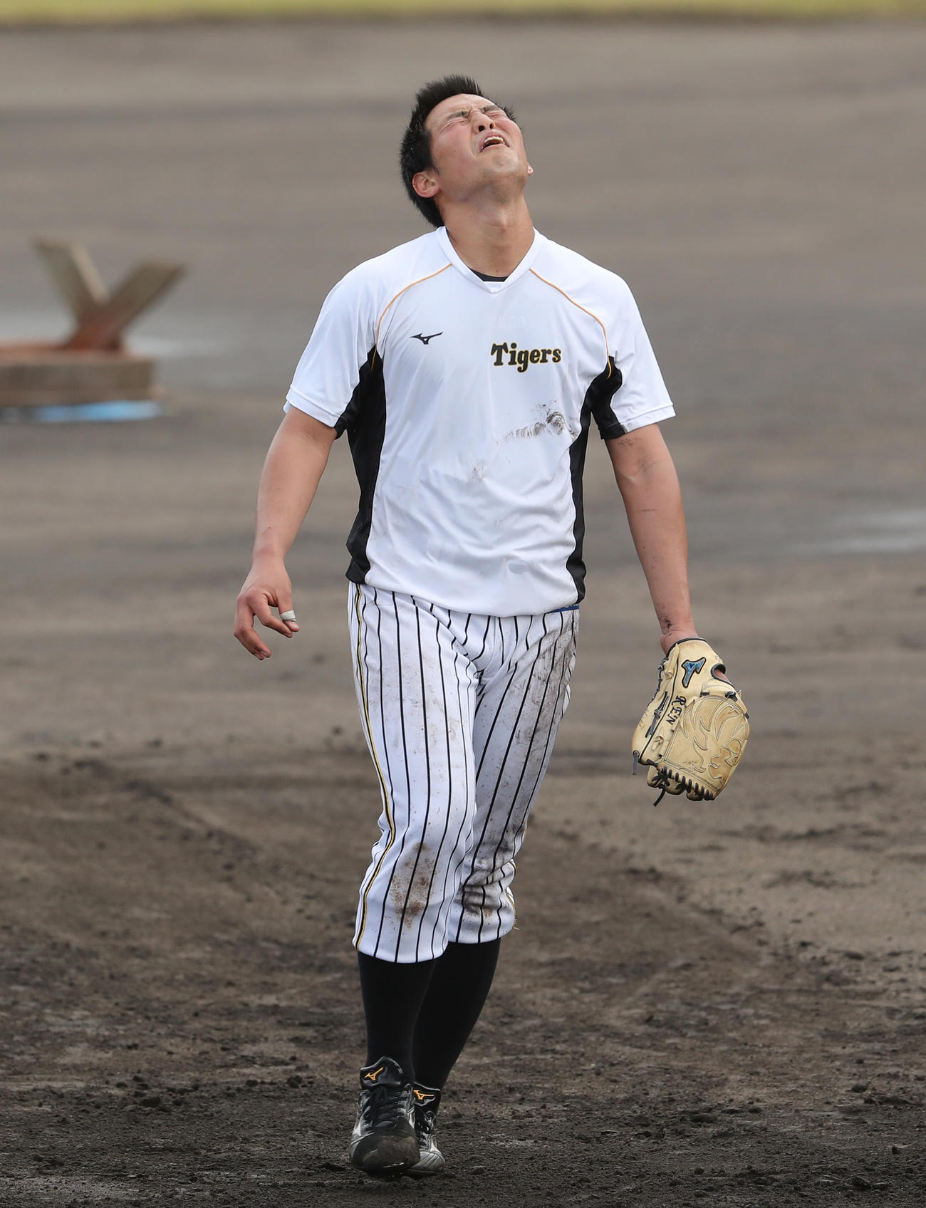 サブグラウンドで阪神矢野監督のノックを受け、苦しそうな表情を見せる佐藤蓮（撮影・前田充）