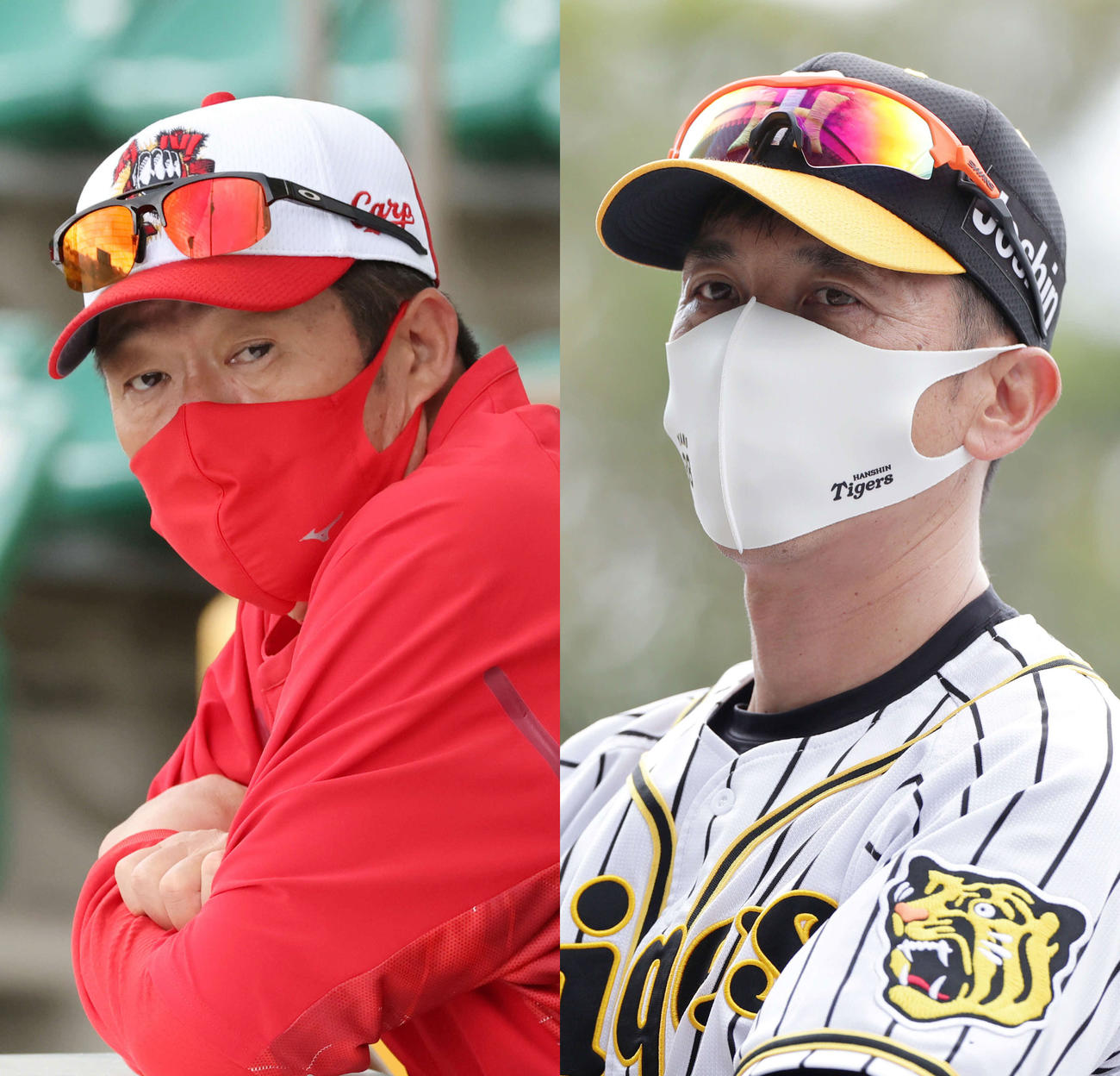 広島佐々岡監督と阪神矢野監督
