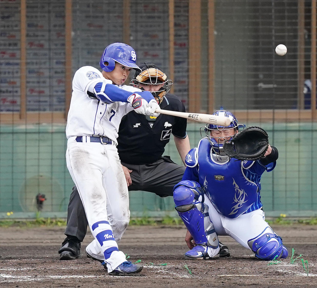 中日対DeNA 8回裏、中前打を放つ根尾（撮影・菅敏）