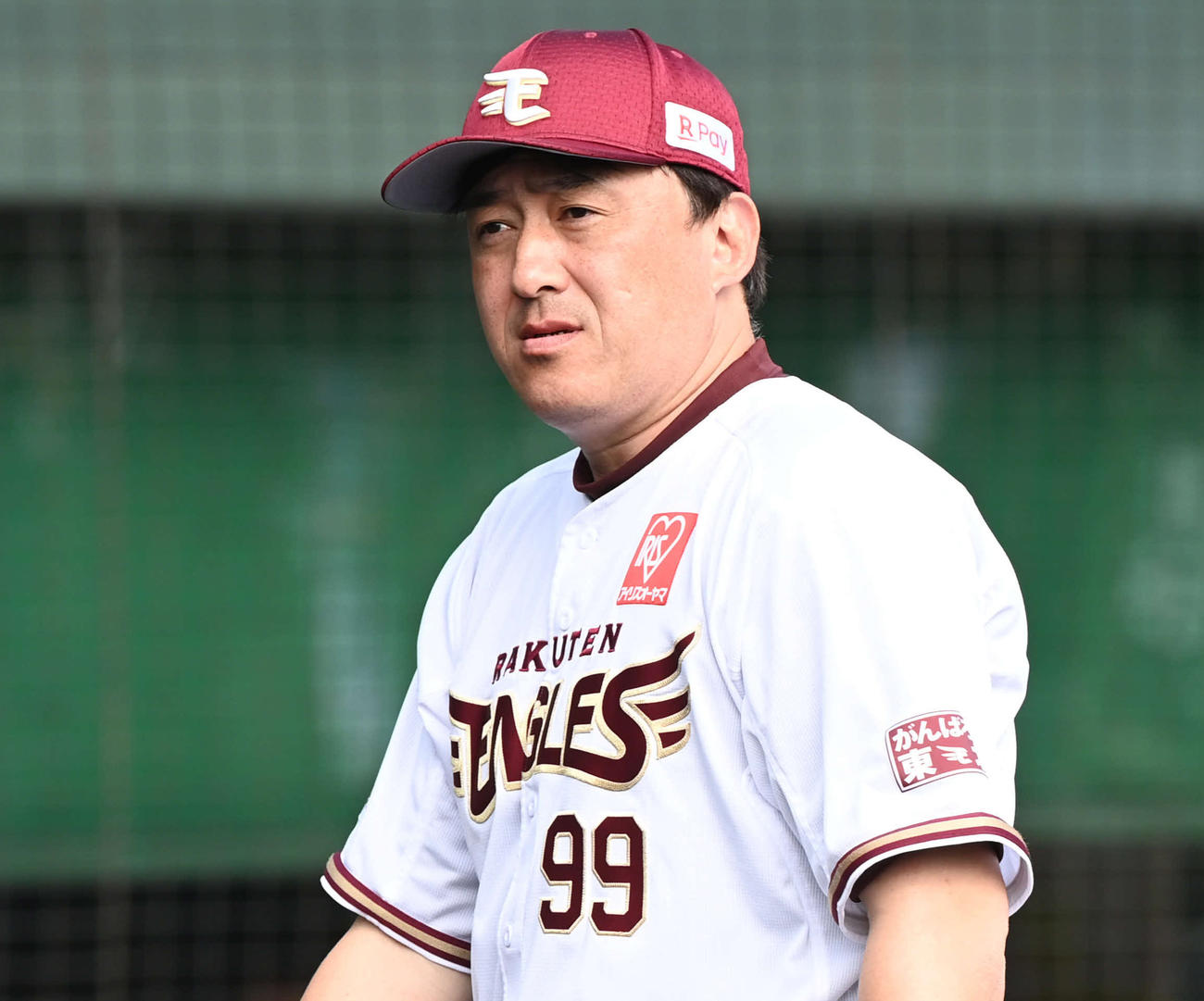 楽天石井GM兼監督（2月13日撮影）