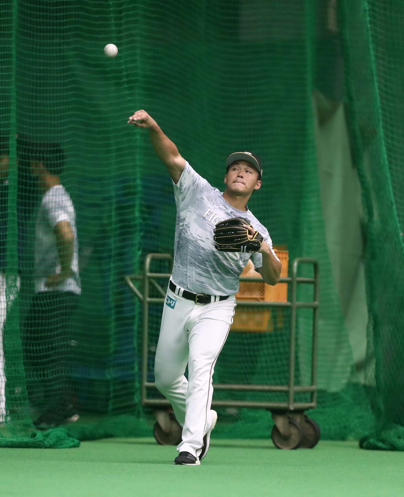 チームに合流しキャッチボールする王柏融（撮影・黒川智章）　　