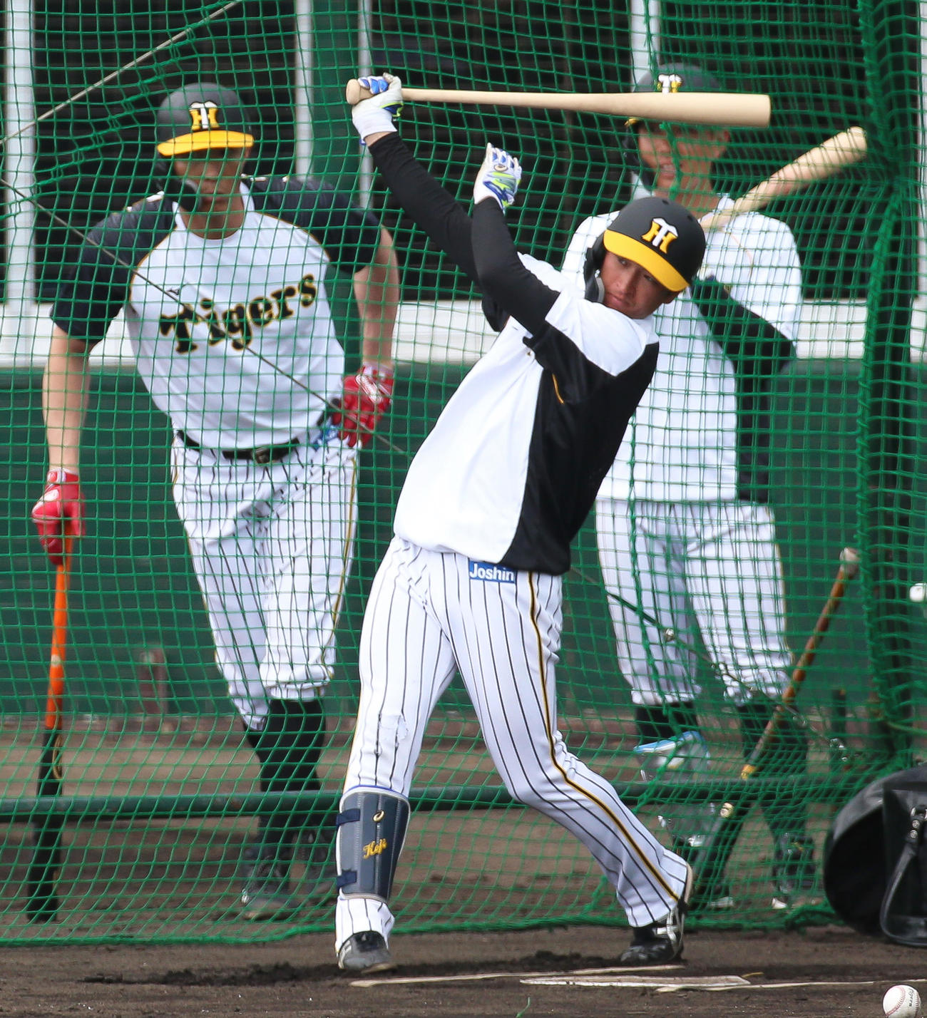 近本はフリー打撃で調整する（撮影・上山淳一）