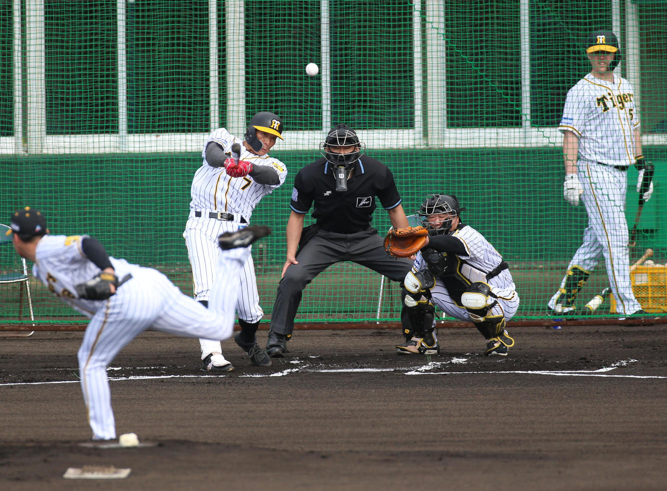 シート打撃を行う糸井、右はサンズ（撮影・上山淳一）