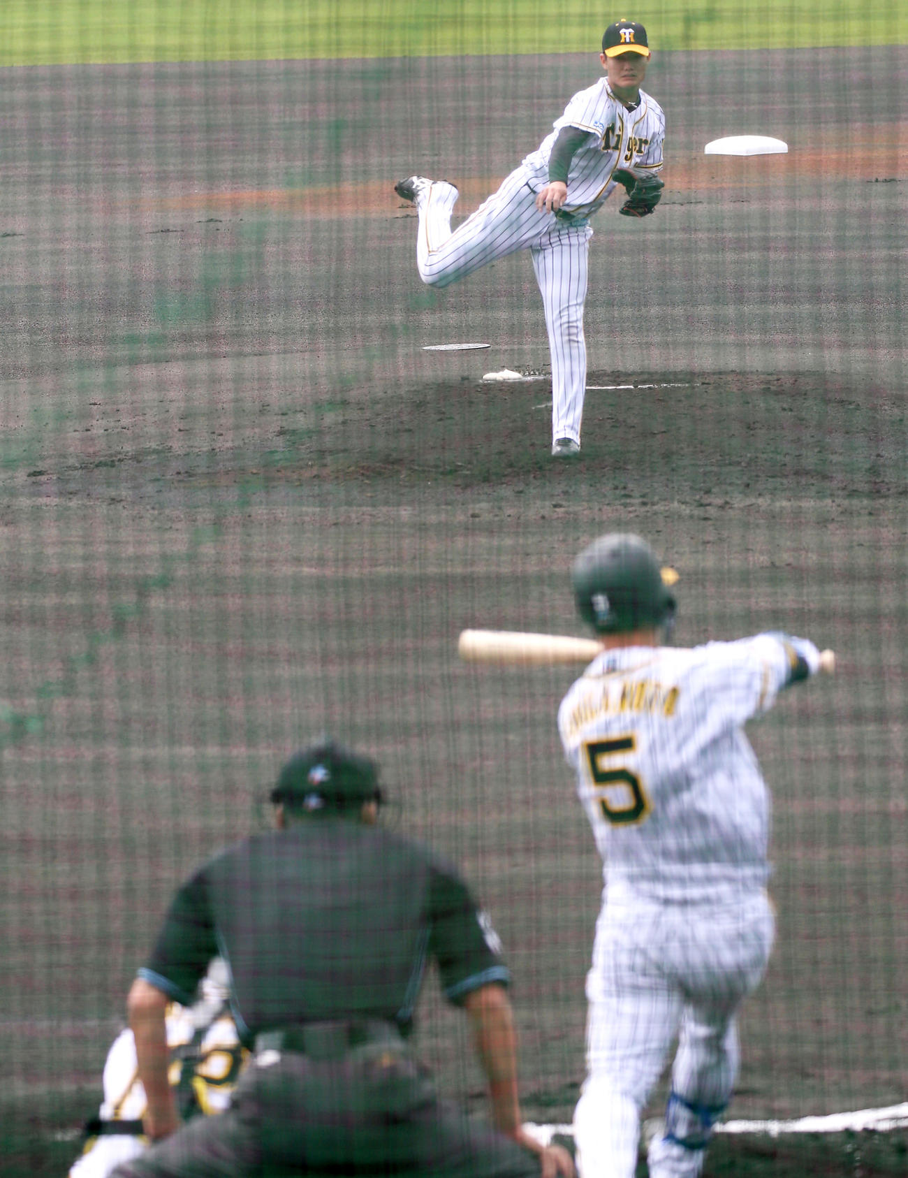 シート打撃で近本に投げ込む西純矢（撮影・上山淳一）
