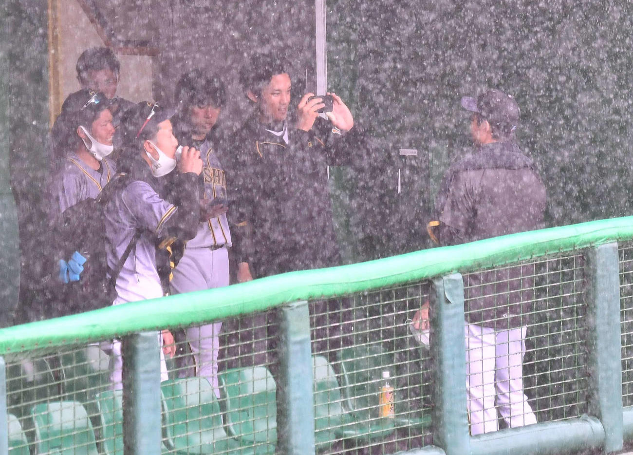 雨柳さん健在、先発予定の青柳晃洋（右）は大雨のグラウンドを背にしたショットを藤浪晋太郎に撮影してもらう（撮影・上田博志）