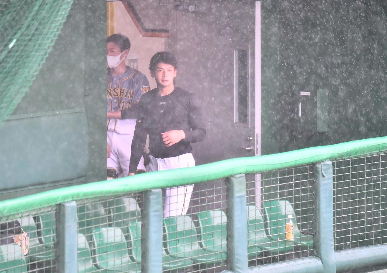 突然の大雨で広島戦が中止となりベンチから引き揚げる井上（撮影・上田博志）