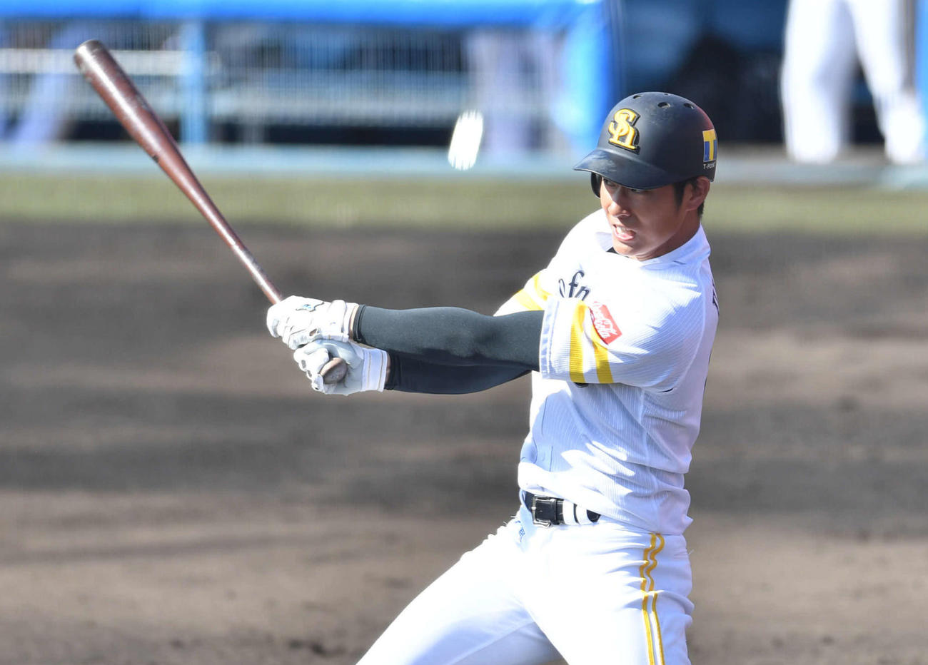 紅白戦　2回裏白組無死、上林は同点の右越え本塁打を放つ（撮影・岩下翔太）