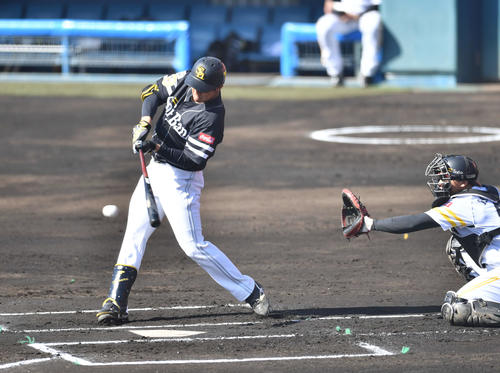 紅白戦　1回表紅組1死三塁、柳町は先制の中前適時打を放つ（撮影・岩下翔太）