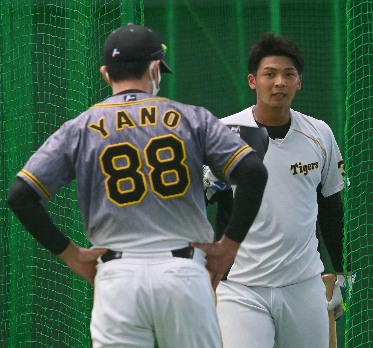 打撃練習を終え矢野監督（左）にヘルメットを取ってあいさつする井上（撮影・上田博志）