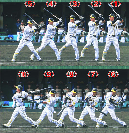 佐藤輝明大きな割り 力で弱点カバー 和田一浩分析 プロ野球 日刊スポーツ