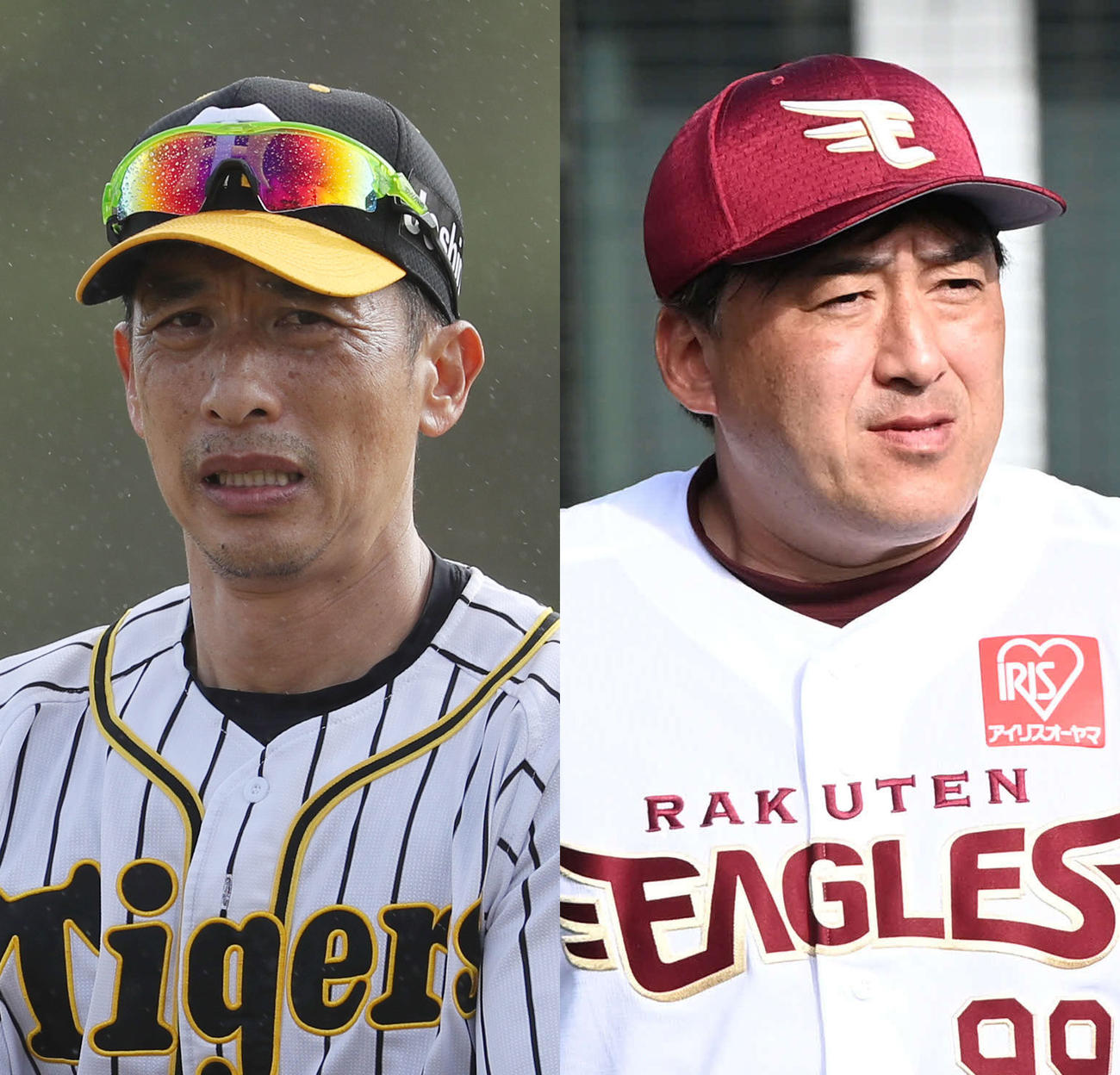 阪神矢野監督と楽天石井監督