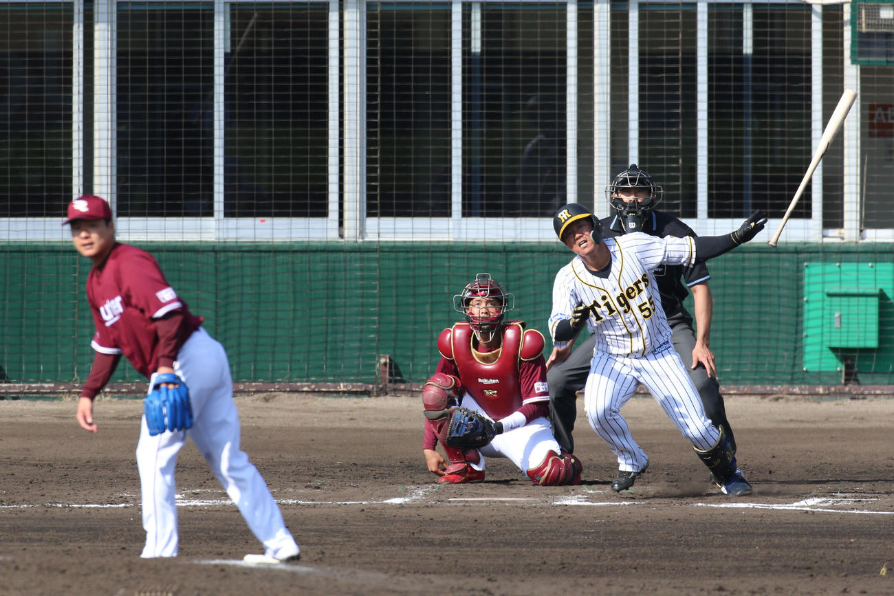 練習試合・阪神対楽天　7回裏阪神無死、陽川尚将は中前打を放つ（撮影・上山淳一）