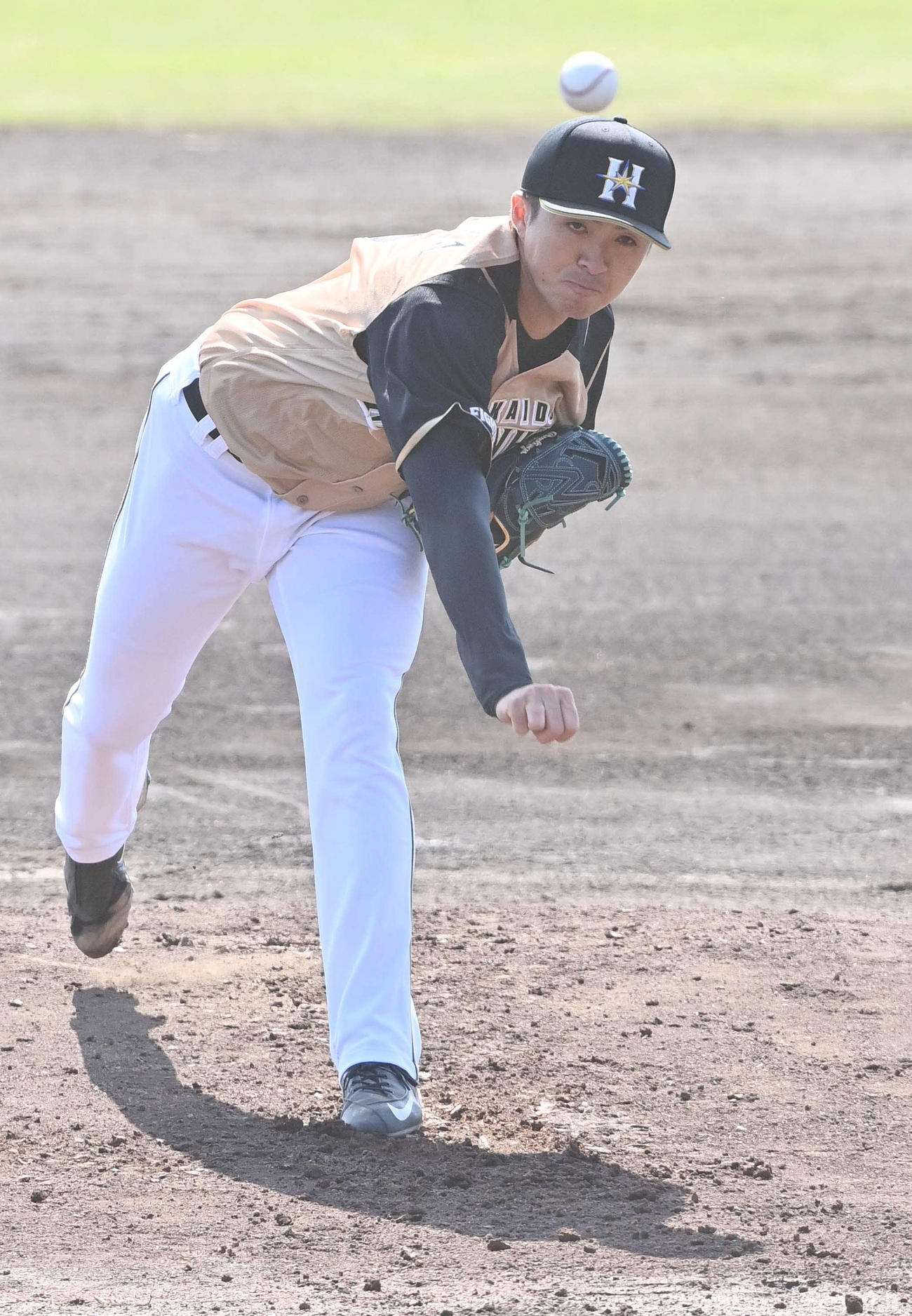 中日対日本ハム　日本ハム先発上沢直之（撮影・上田博志）