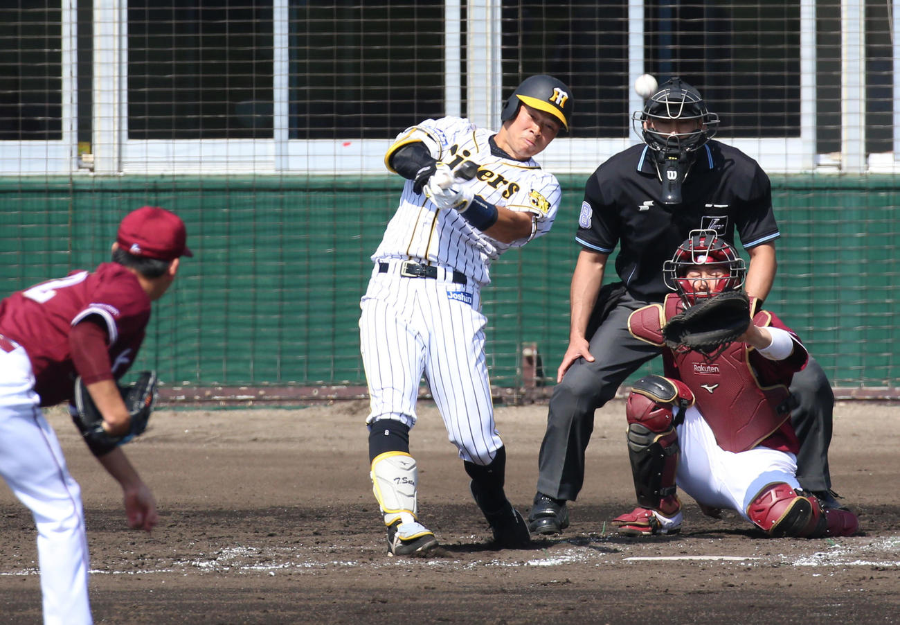 練習試合・阪神対楽天　4回裏阪神無死、佐藤輝明は中前打を放つ（撮影・上山淳一）