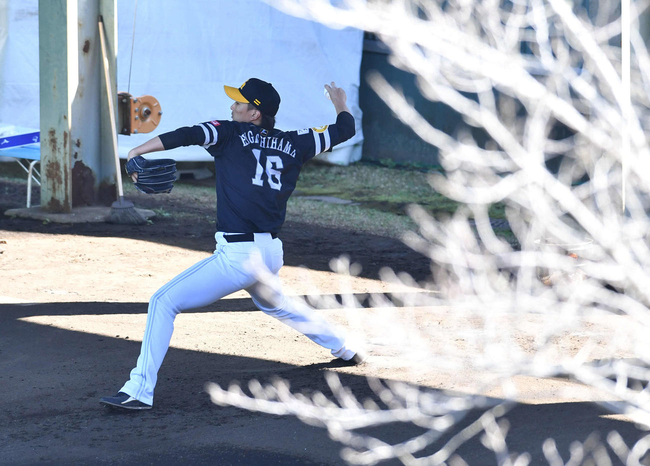 ブルペンで投げる東浜（撮影・岩下翔太）