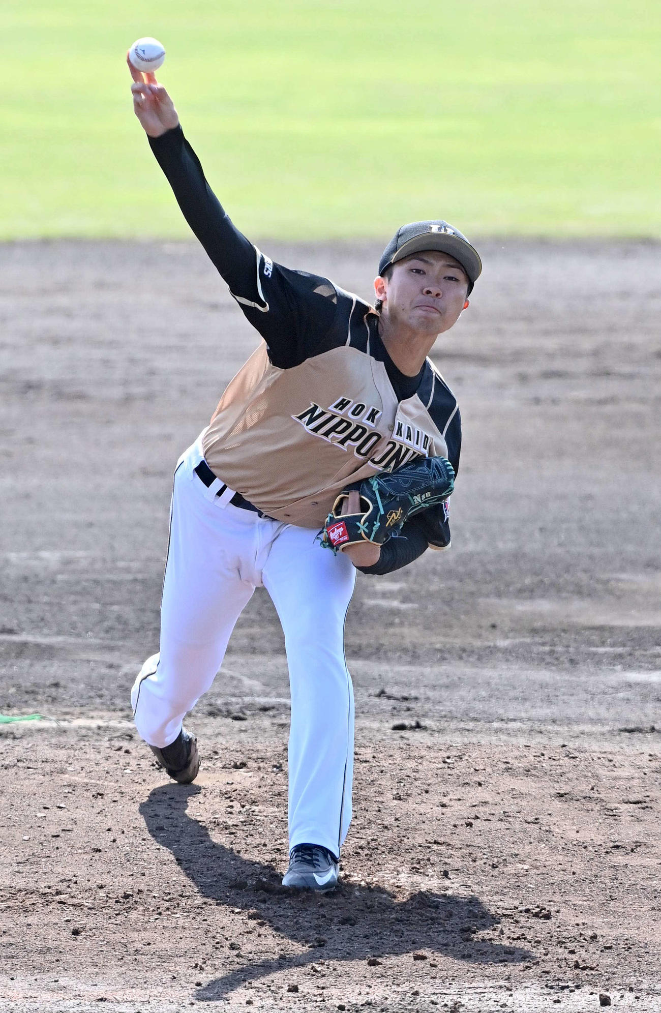 中日対日本ハム　日本ハム先発上沢直之（撮影・上田博志）