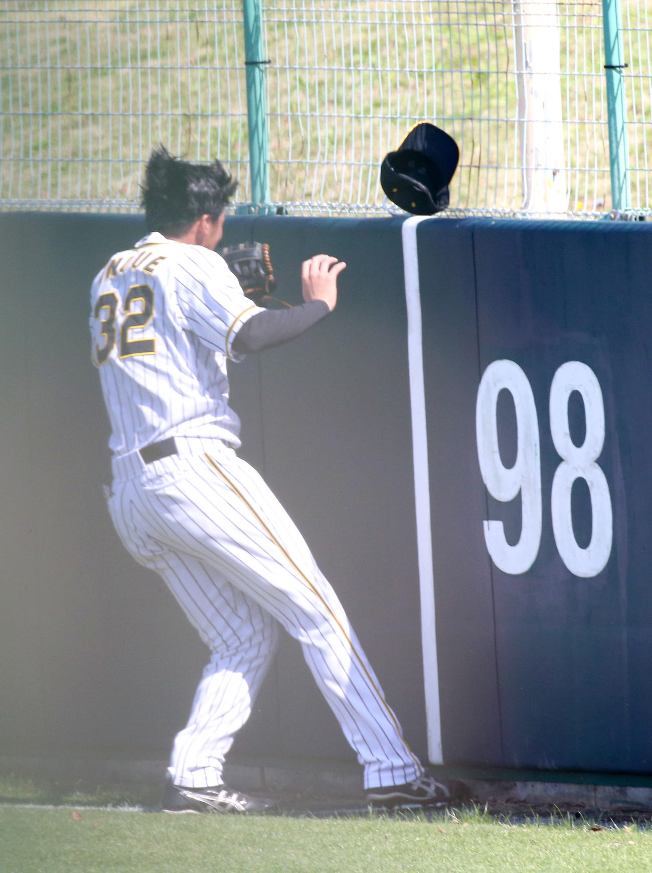 練習試合・阪神対楽天　1回表楽天無死、左翼手井上広大は武藤敦貴の飛球の捕球後にフェンスに激突する（撮影・上山淳一）