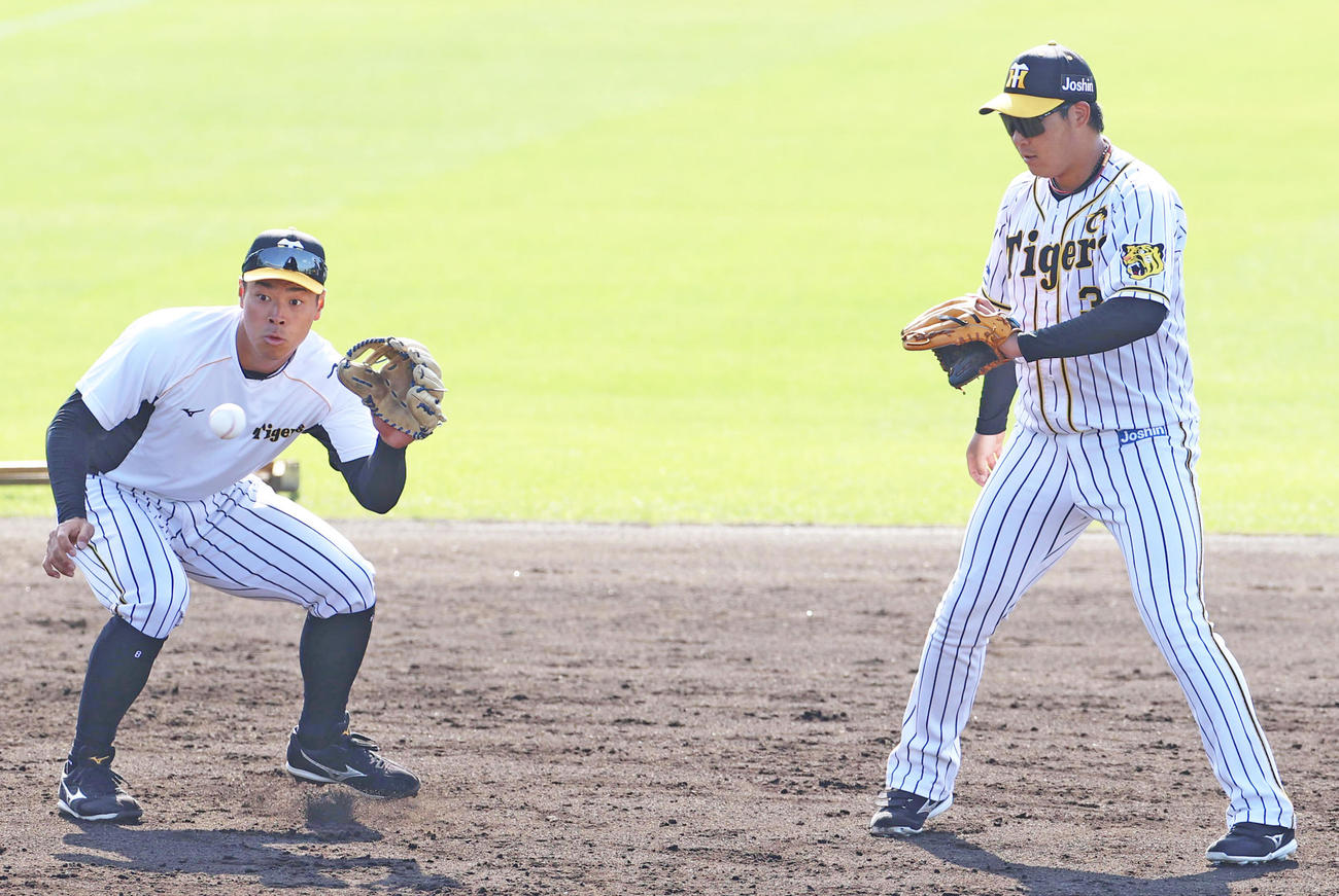 三塁でノックを受ける佐藤輝（左）と大山（撮影・清水貴仁）