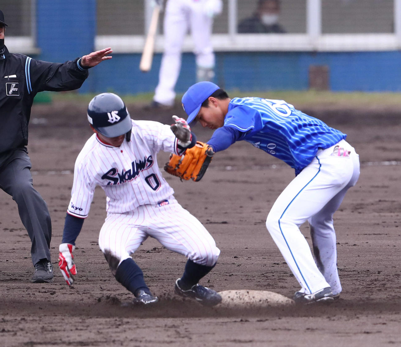 ヤクルト対DeNA 4回裏ヤクルト無死一塁、二盗を決める並木。野手知野（撮影・河田真司）
