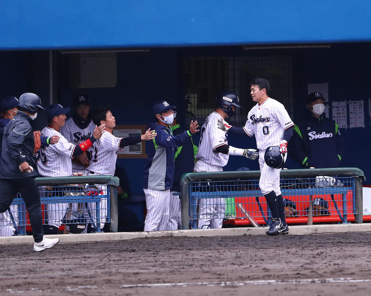 ヤクルト対DeNA 4回裏ヤクルト2死二塁、元山の中越え適時二塁打で生還しナインに迎えられる並木。後方右は高津監督（撮影・河田真司）