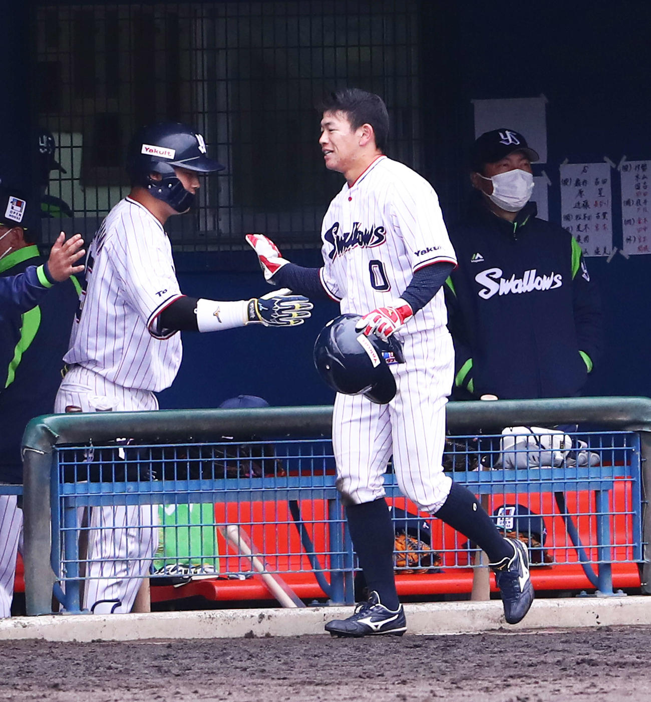 ヤクルト対DeNA　元山の中越え適時二塁打で生還した並木（中央）は迎えるナインを前に一度ベンチに下がってしまうが、慌てて飛び出しハイタッチする。左は村上、後方右は高津監督（撮影・河田真司）
