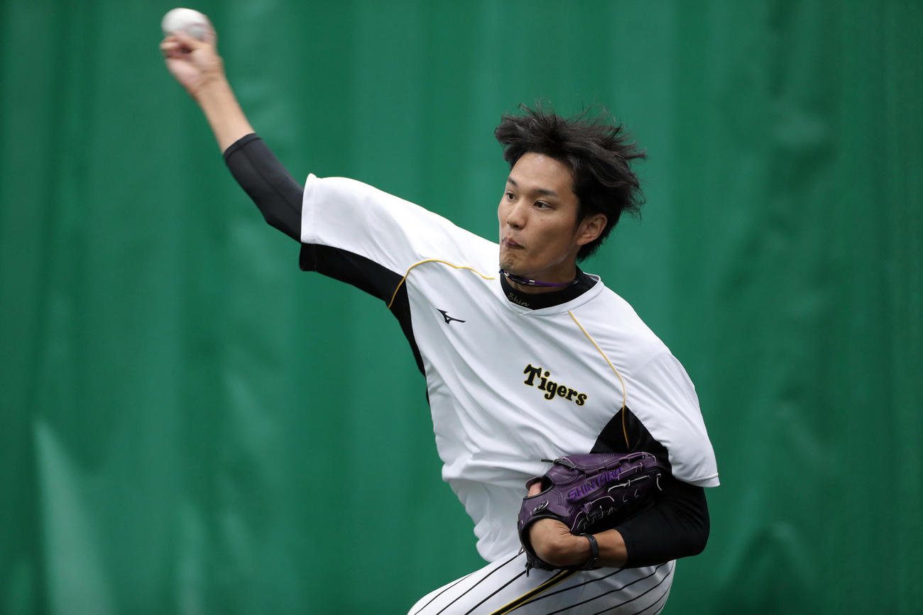 阪神春季キャンプ　ブルペンで投球する阪神藤浪晋太郎（撮影・前田充）
