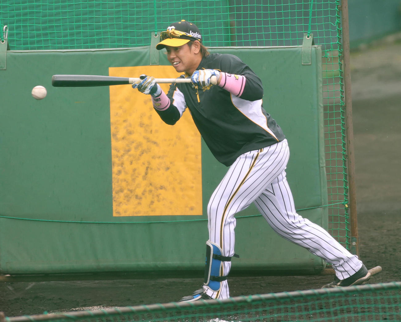 バント練習を行う梅野隆太郎（撮影・清水貴仁）