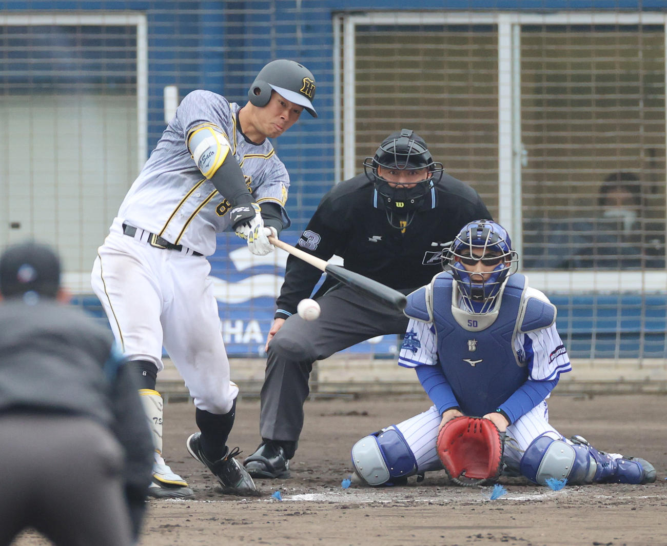 7回表阪神2死一塁、二塁強襲の安打を放ち猛打賞とする佐藤輝明（撮影・清水貴仁）