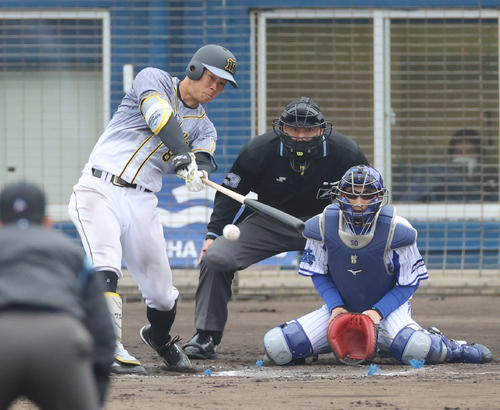 7回表阪神2死一塁、二塁強襲の安打を放ち猛打賞とする佐藤輝明（撮影・清水貴仁）