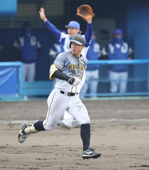 7回表阪神2死一塁、二塁強襲の安打を放ち猛打賞とする佐藤輝明（撮影・清水貴仁）