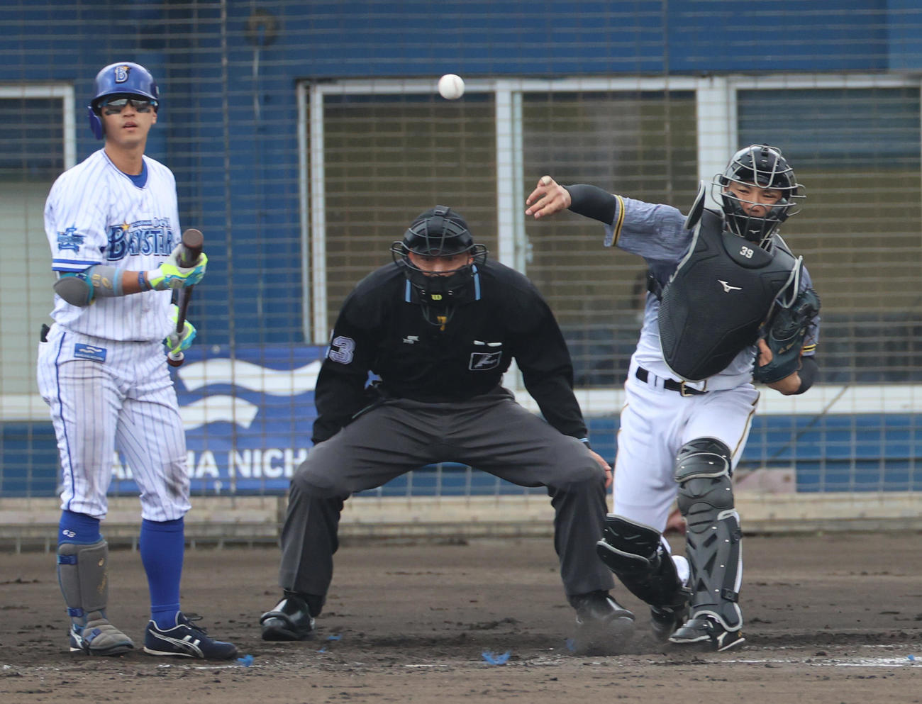 宮本をアウトにする捕手栄枝（撮影・清水貴仁）