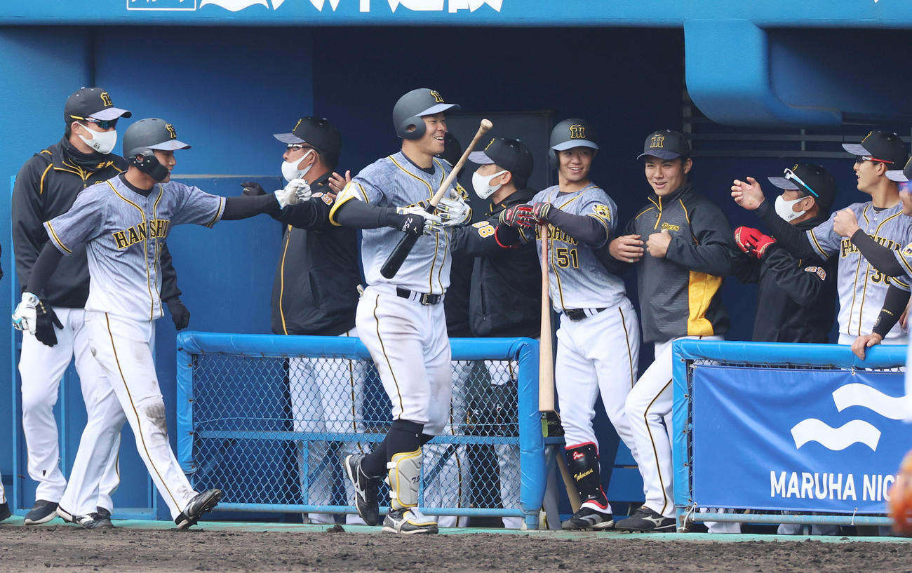 練習試合　DeNA対阪神　8回表阪神2死二塁、本塁打を放った佐藤輝明はゴリラポーズを披露（撮影・清水貴仁）