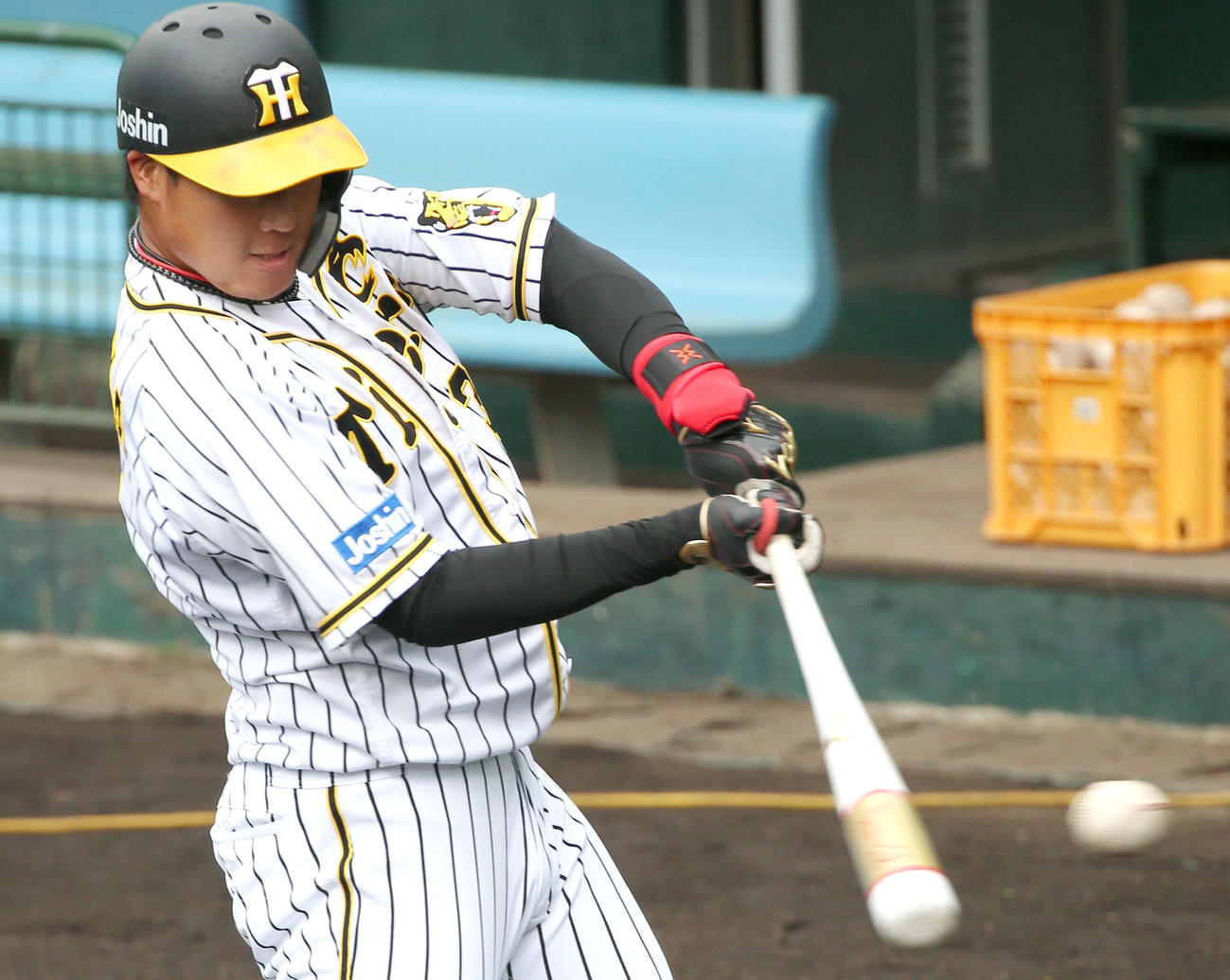 ティー打撃する大山悠輔（撮影・上山淳一）