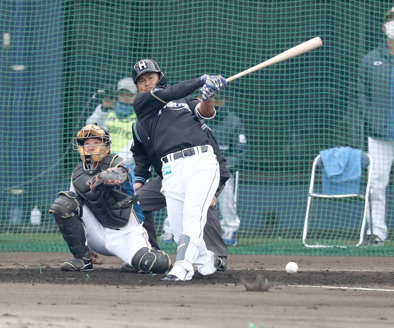 日本ハム紅白戦　5回表1死、左前打を放つ今川（撮影・黒川智章）