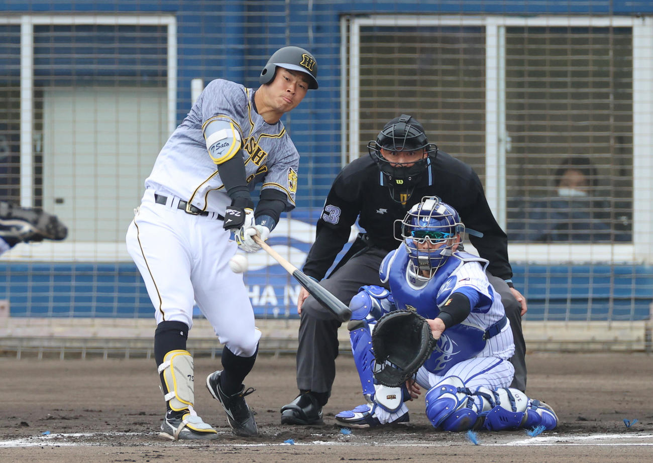 1回表阪神無死一、二塁、右へ先制適時二塁打を放つ佐藤輝明（撮影・清水貴仁）