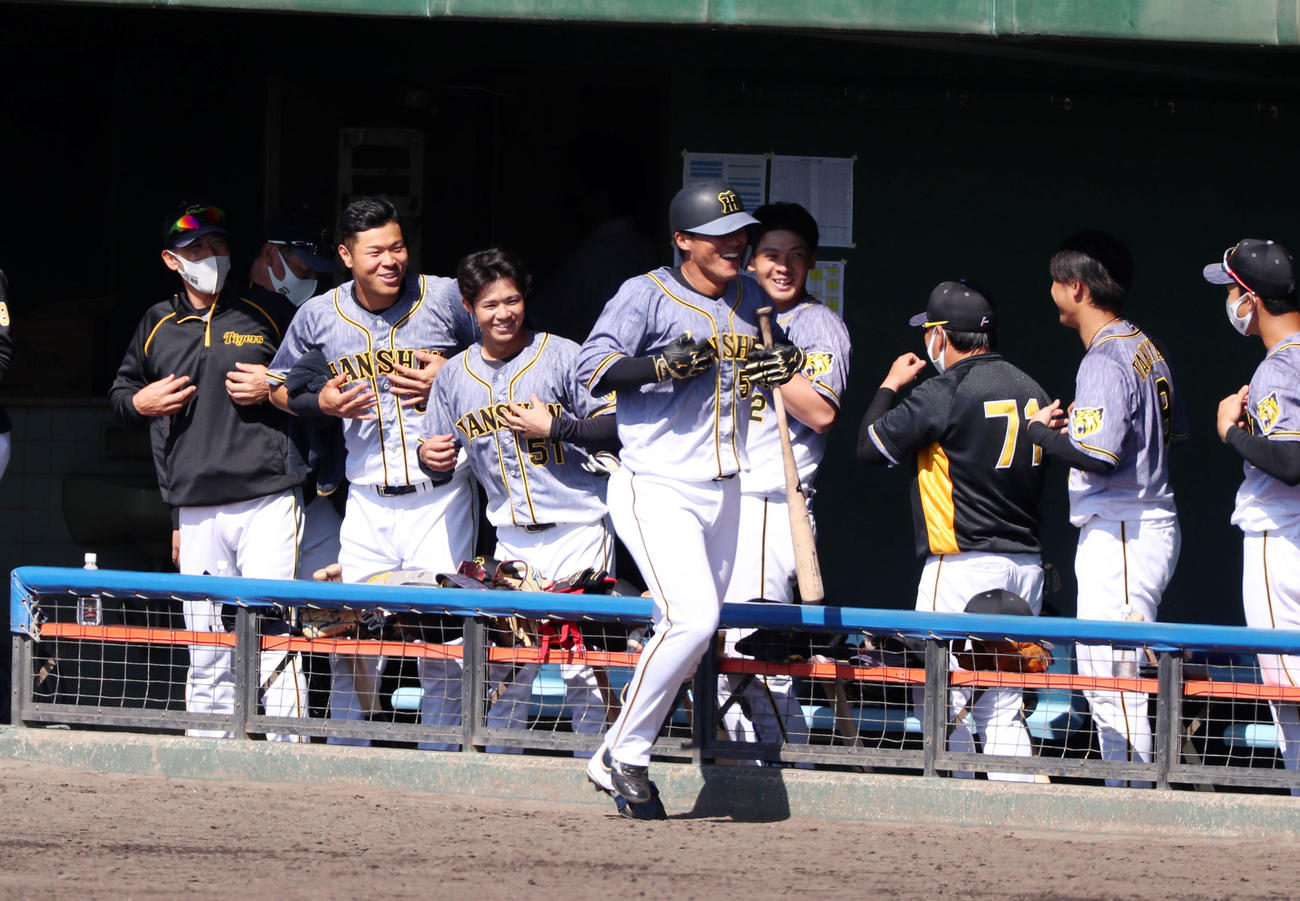 2021年2月20日　中日対阪神　6回表阪神1死、陽川は左越え本塁打を放ちベンチでナインからゴリラポーズでお出迎え、左端は矢野監督、左から2人目は佐藤輝明（撮影・加藤哉）