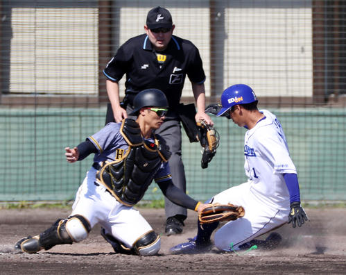 中日対阪神　5回裏中日1死一、三塁、三走京田は福留の右飛で生還し犠飛となる、左は坂本（撮影・加藤哉）