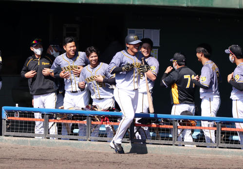 2021年2月20日　中日対阪神　6回表阪神1死、陽川は左越え本塁打を放ちベンチでナインからゴリラポーズでお出迎え、左端は矢野監督、左から2人目は佐藤輝明（撮影・加藤哉）