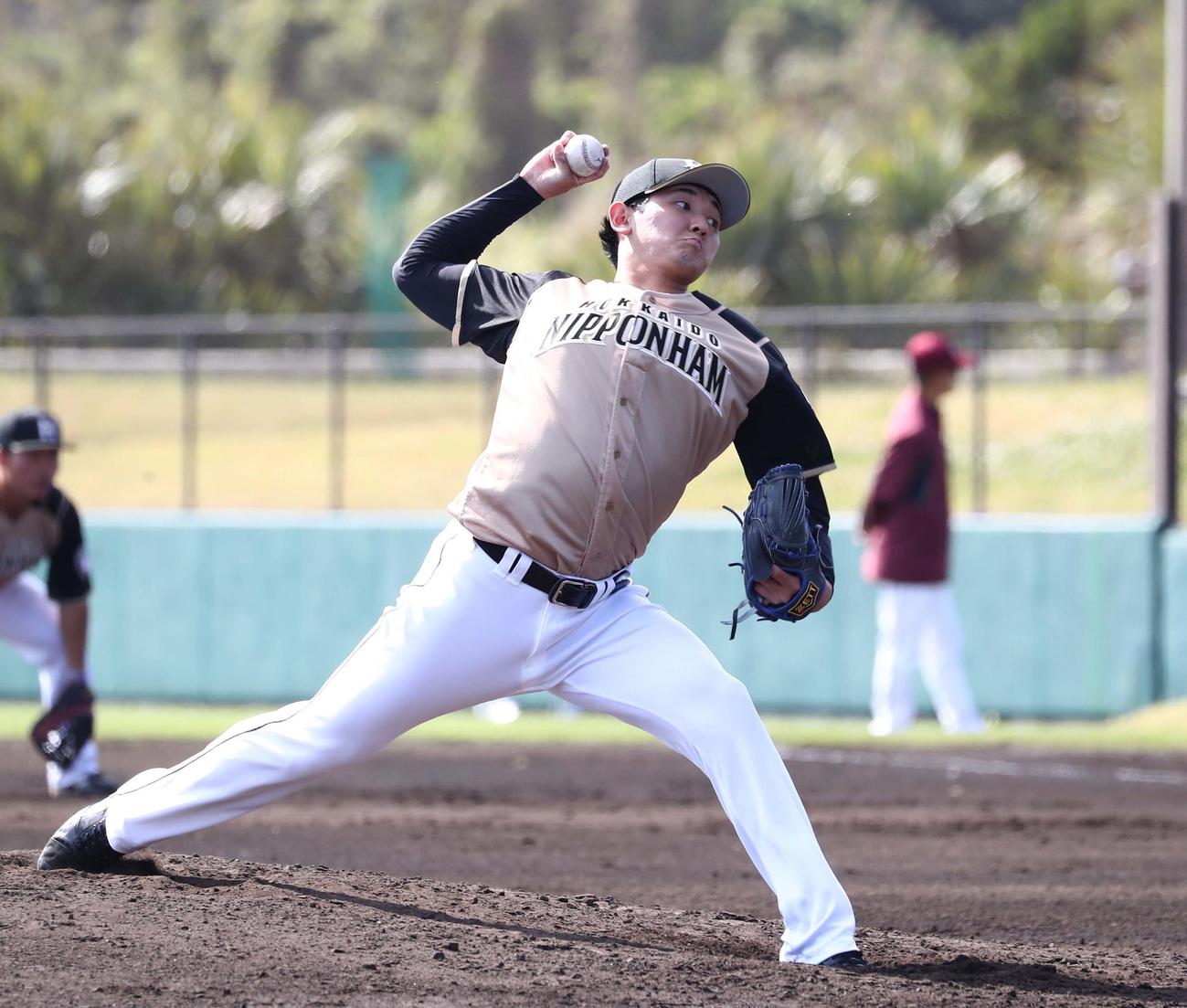 練習試合　楽天対日本ハム　6回に登板の立野（撮影・黒川智章）