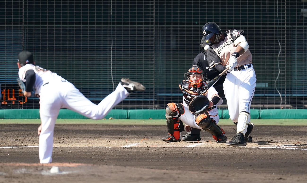 巨人対日本ハム　7回表日本ハム無死、左越えソロ本塁打を放つ万波。投手畠（撮影・鈴木みどり）
