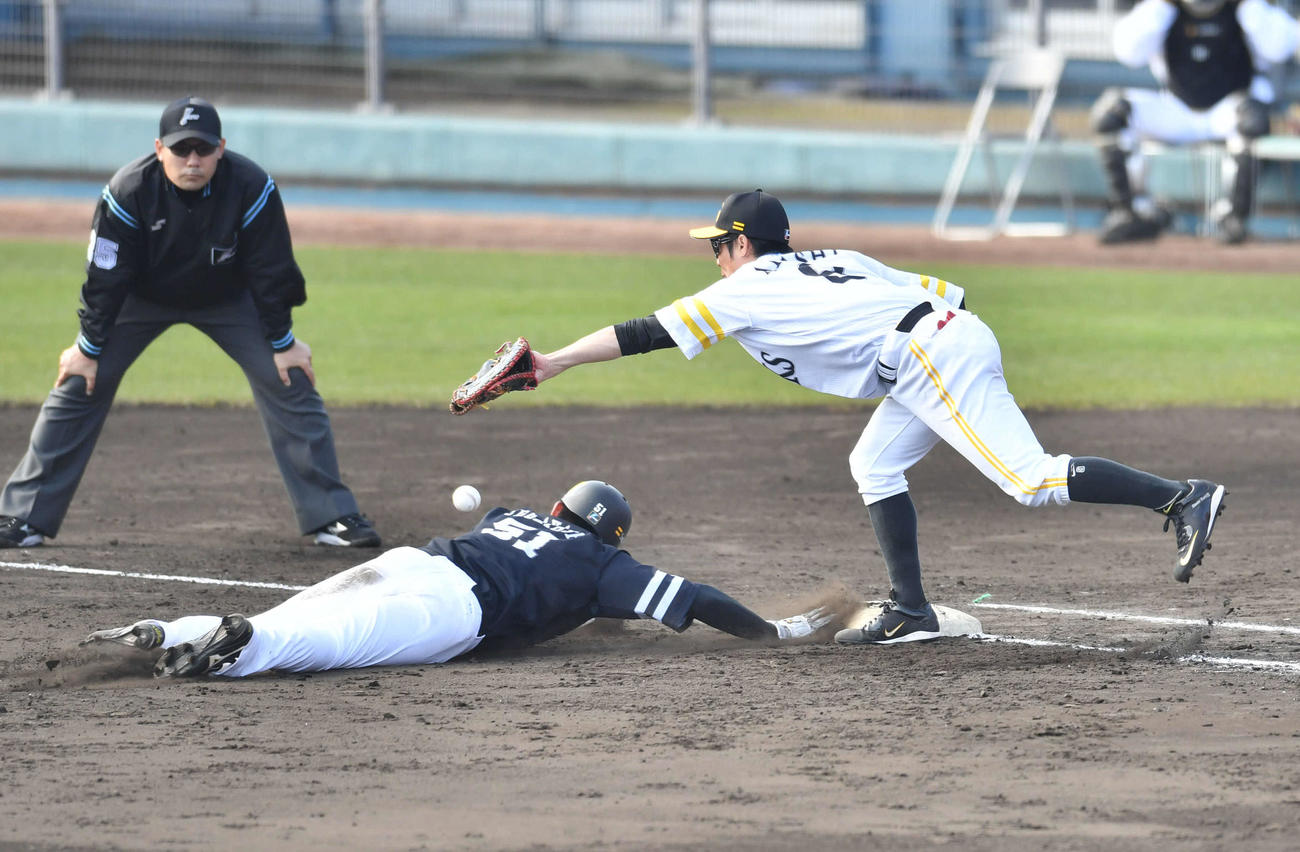 紅白戦　5回表紅組無死一塁、一塁走者・上林（左）へ尾形が投げたけん制が悪送球となり、一塁手の明石（右）が捕球できずにボールはファウルゾーンへと抜ける（撮影・岩下翔太）