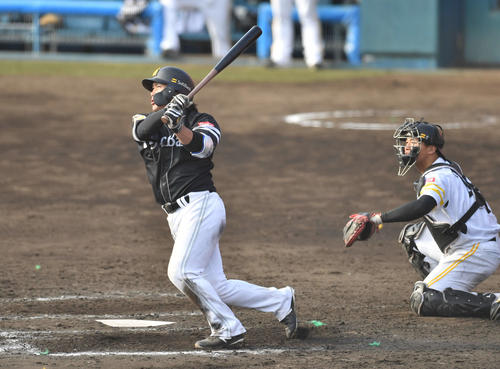 紅白戦　6回表紅組1死満塁、甲斐は左中間へ走者一掃の適時三塁打を放つ（撮影・岩下翔太）