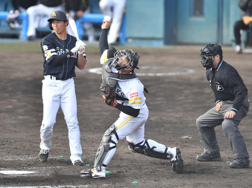 紅白戦　6回表紅組1死一塁、打者・釜元（左）のとき、一塁走者・佐藤直の二盗を阻止する谷川原（撮影・岩下翔太）