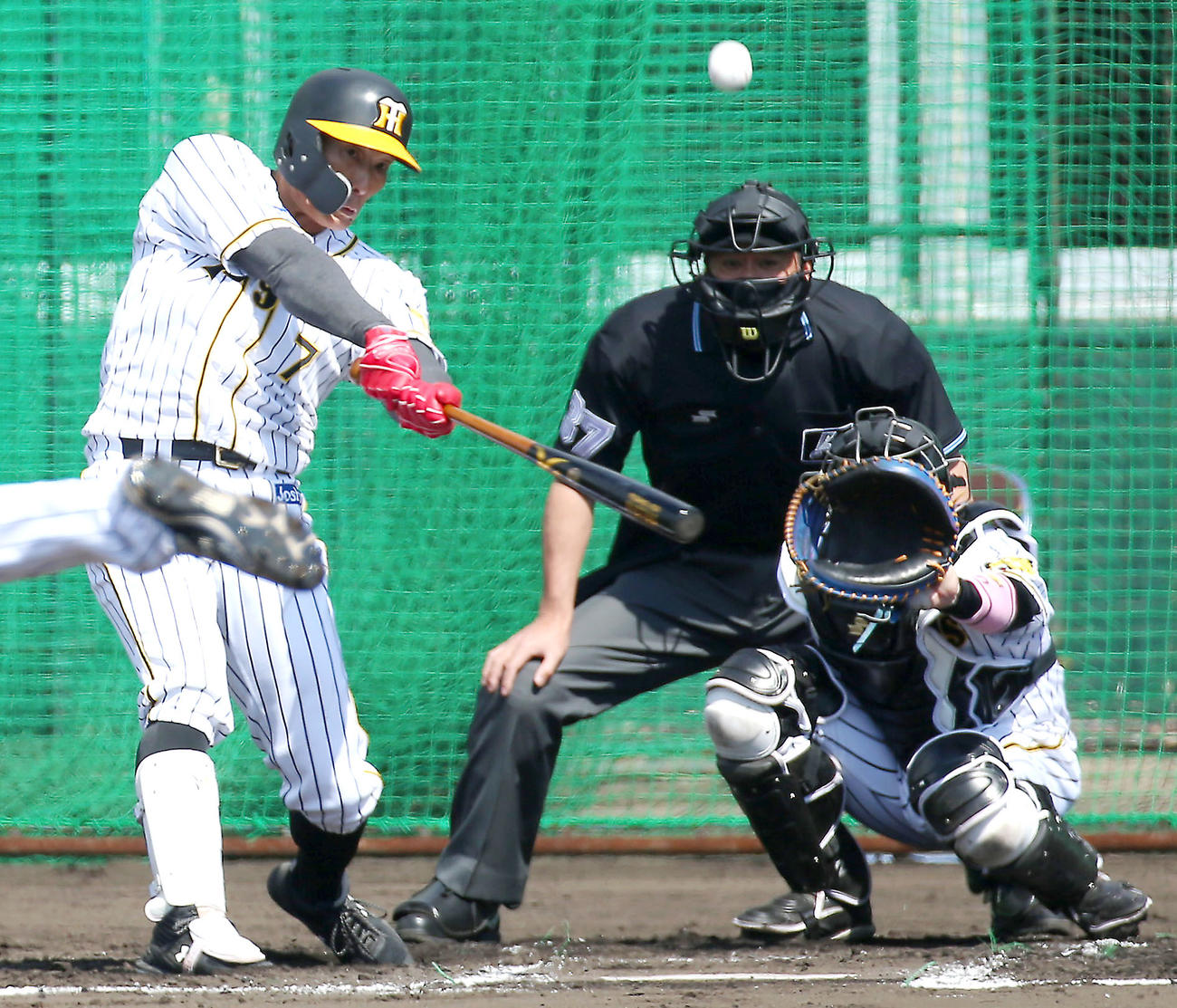シート打撃する糸井嘉男（撮影・上山淳一）
