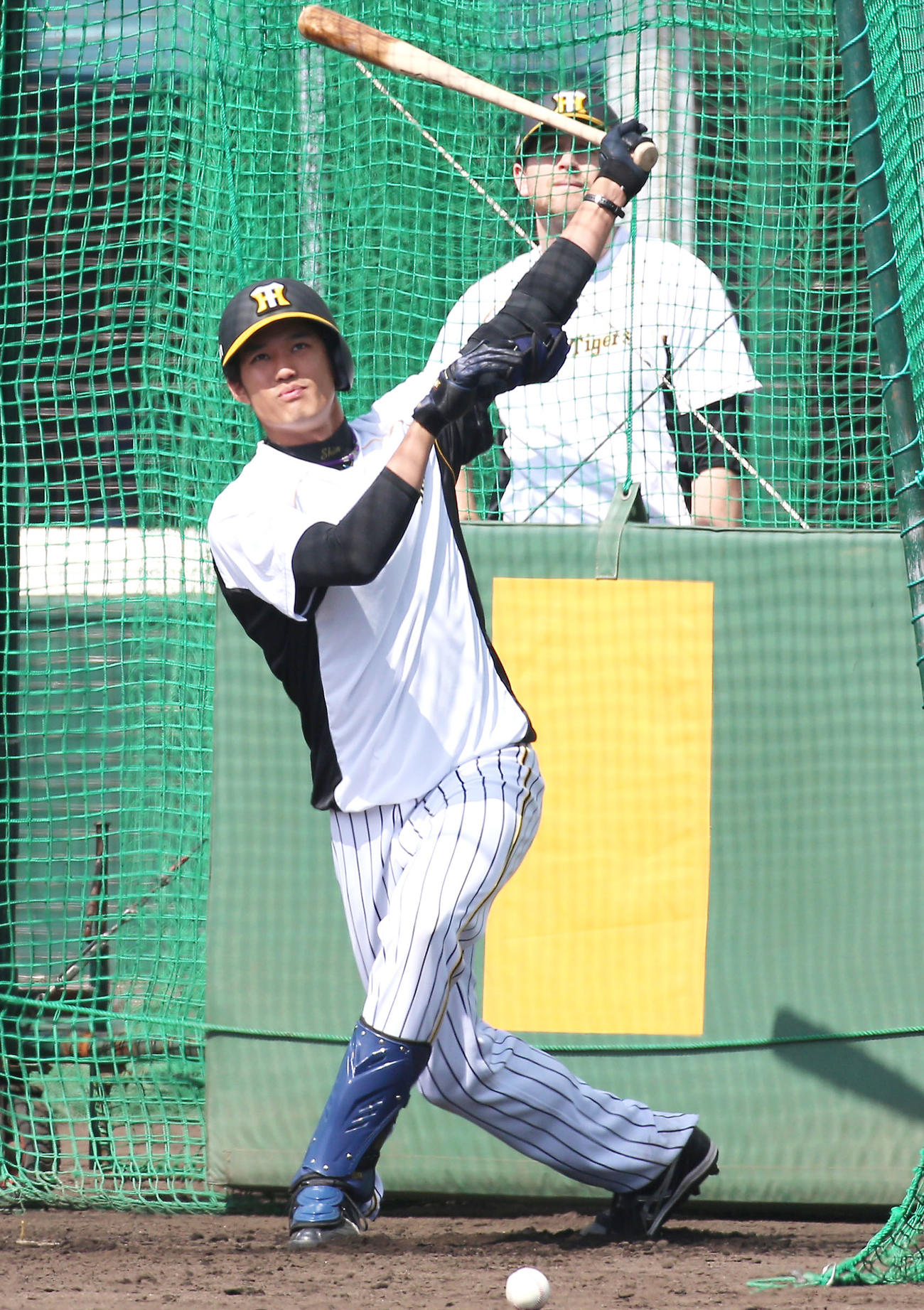 ホームラン競争で柵越えさせる藤浪晋太郎（撮影・上山淳一）