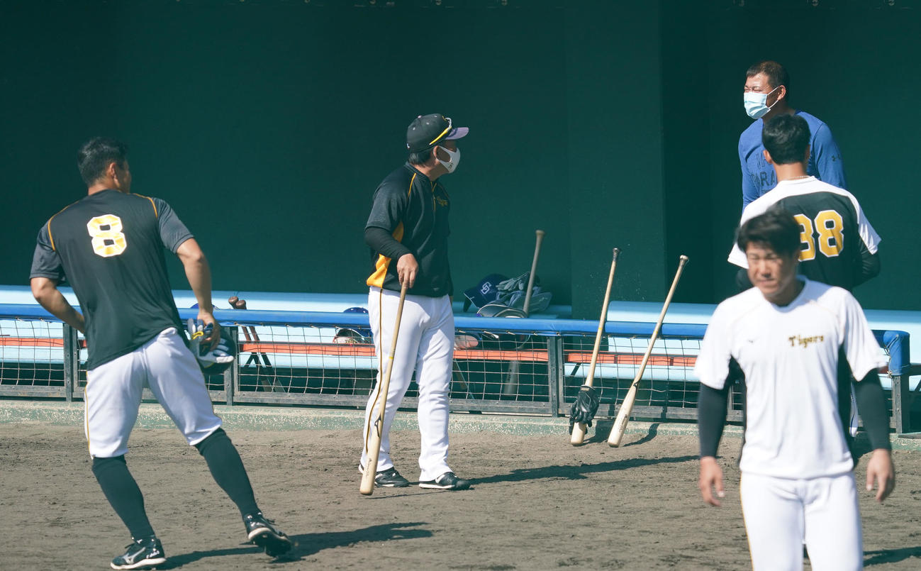 練習試合開始前、佐藤輝明（左）からあいさつを受ける福留孝介（右・奥）（撮影・森本幸一）