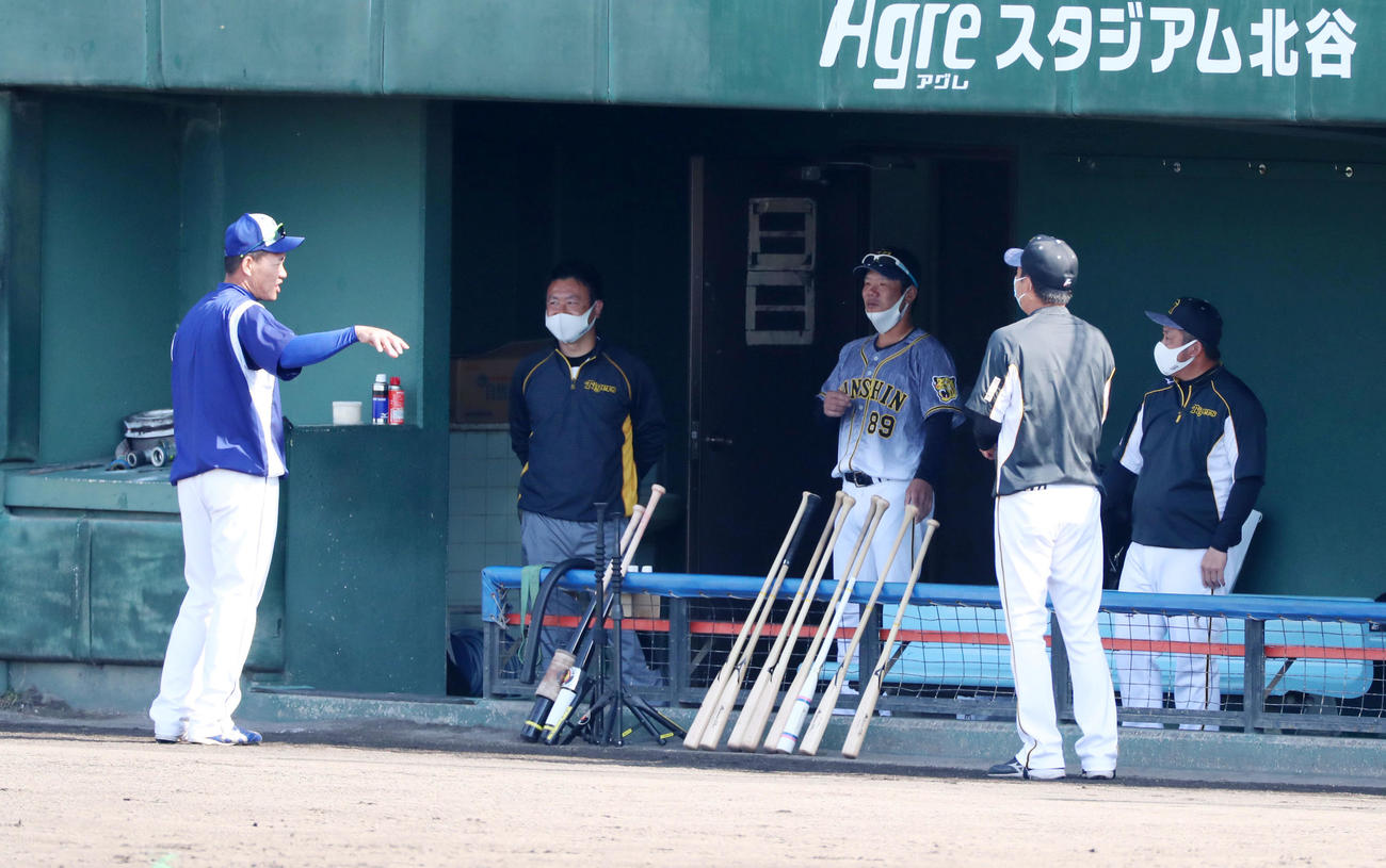 中日対阪神　阪神の関係者にあいさつする福留（撮影・加藤哉）