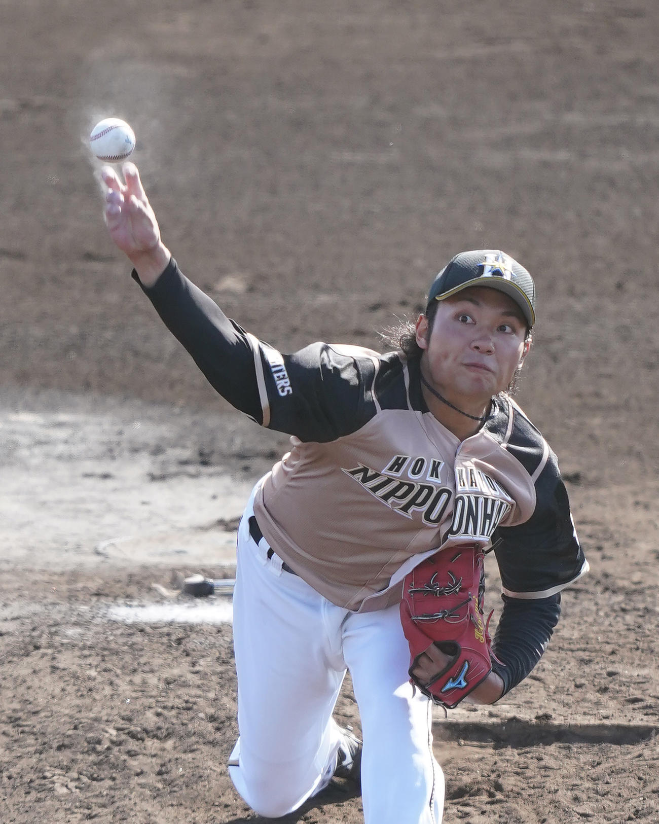 楽天との練習試合で登板し、力投する日本ハム伊藤（撮影・菅敏）