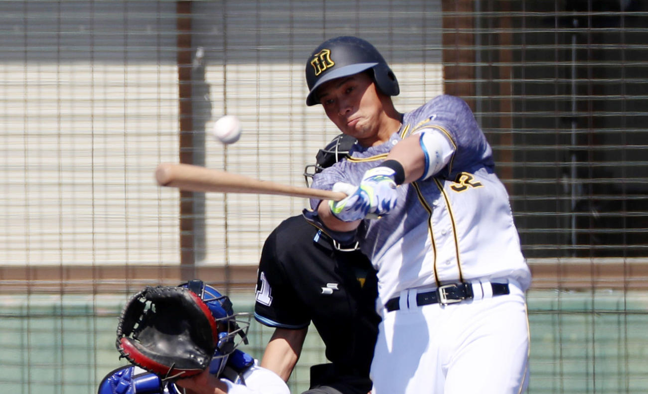 中日対阪神　3回表阪神2死、井上は左前打を放つ（撮影・加藤哉）